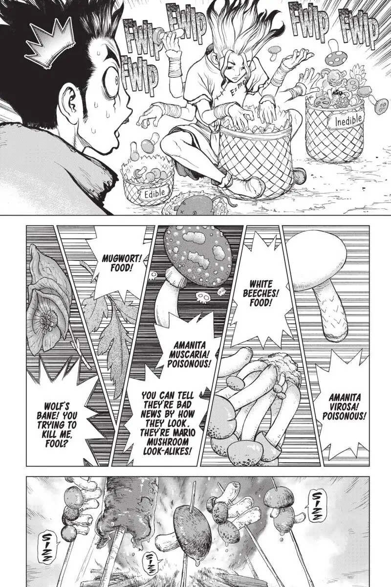Chapter 2 image 3